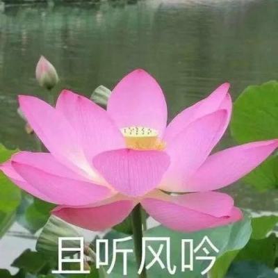 【金色热线】云南大姚县:四项工作推进“教育兴县”战略